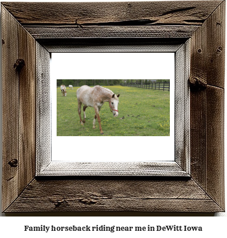 family horseback riding near me in DeWitt, Iowa